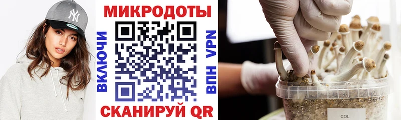 Псилоцибиновые грибы Psilocybe  Агидель 